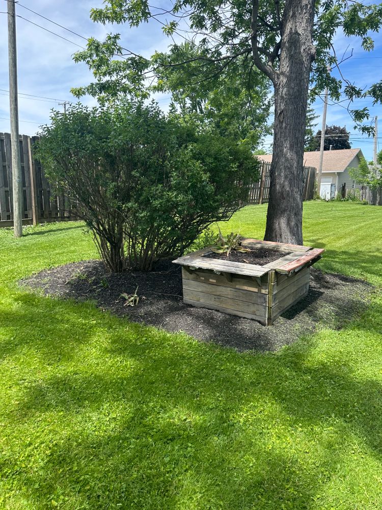 All Photos for OT Lawn and Landscaping LLC in Carey, OH
