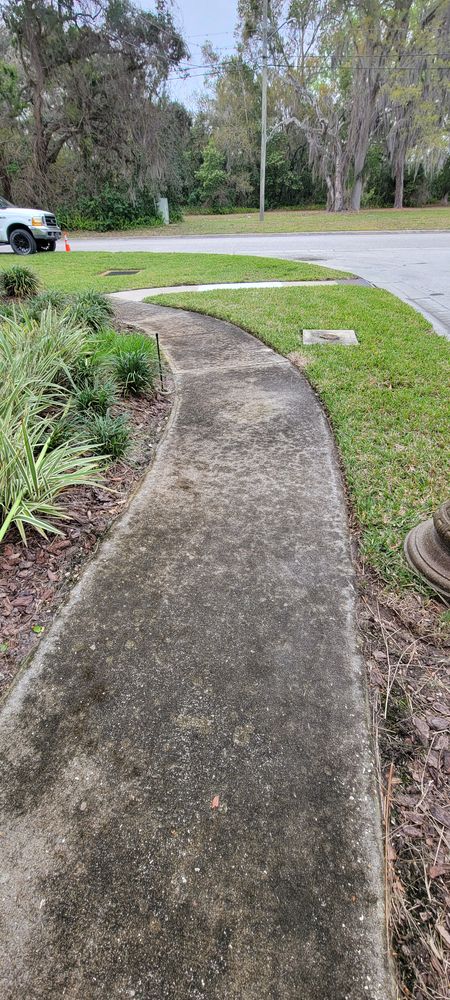 All Photos for Blue Stream Roof Cleaning & Pressure Washing in Tampa, FL