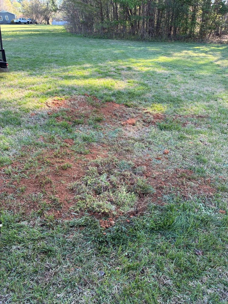 Septic Tank Installation for Septic Pros LLC in Rowan County, NC