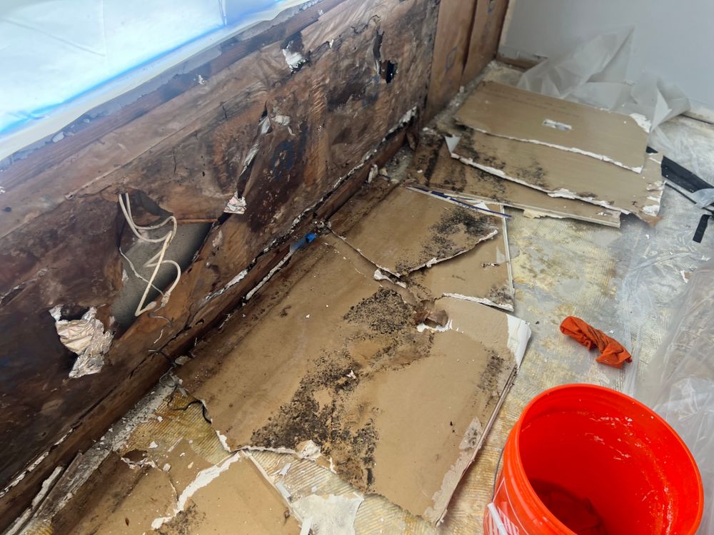 Mold Remediation for N&D Restoration Services When Disaster Attacks, We Come In in Cape Coral,  FL