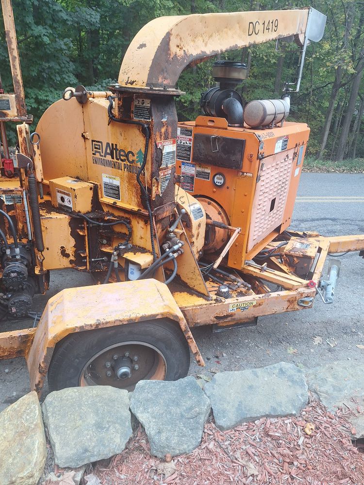 Tree Removal for Mitchell's Tree Service in North Brookfield, MA