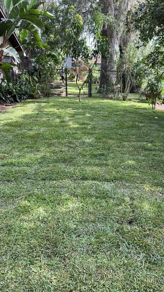 All Photos for Estrada All Pro Lawn Service in Auburndale, Florida