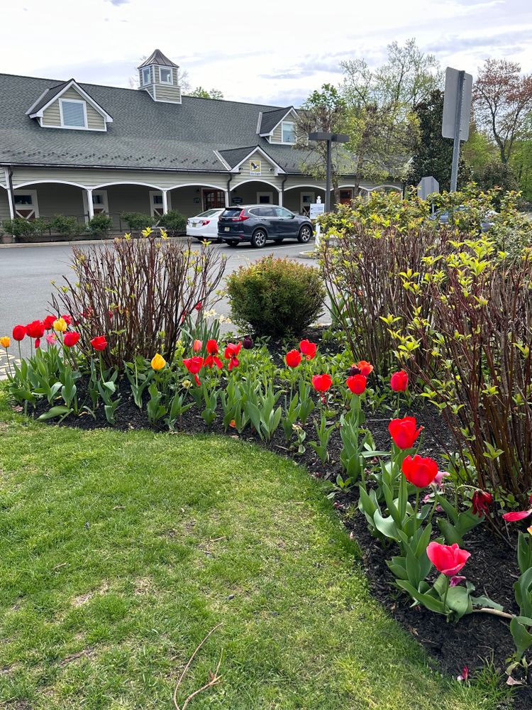 All Photos for Green Way Landscape and Building Maintenance in Trenton, NJ