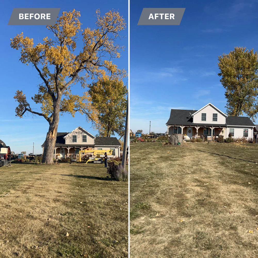 All Photos for Fransen's Tree Service  in Freeport, IL