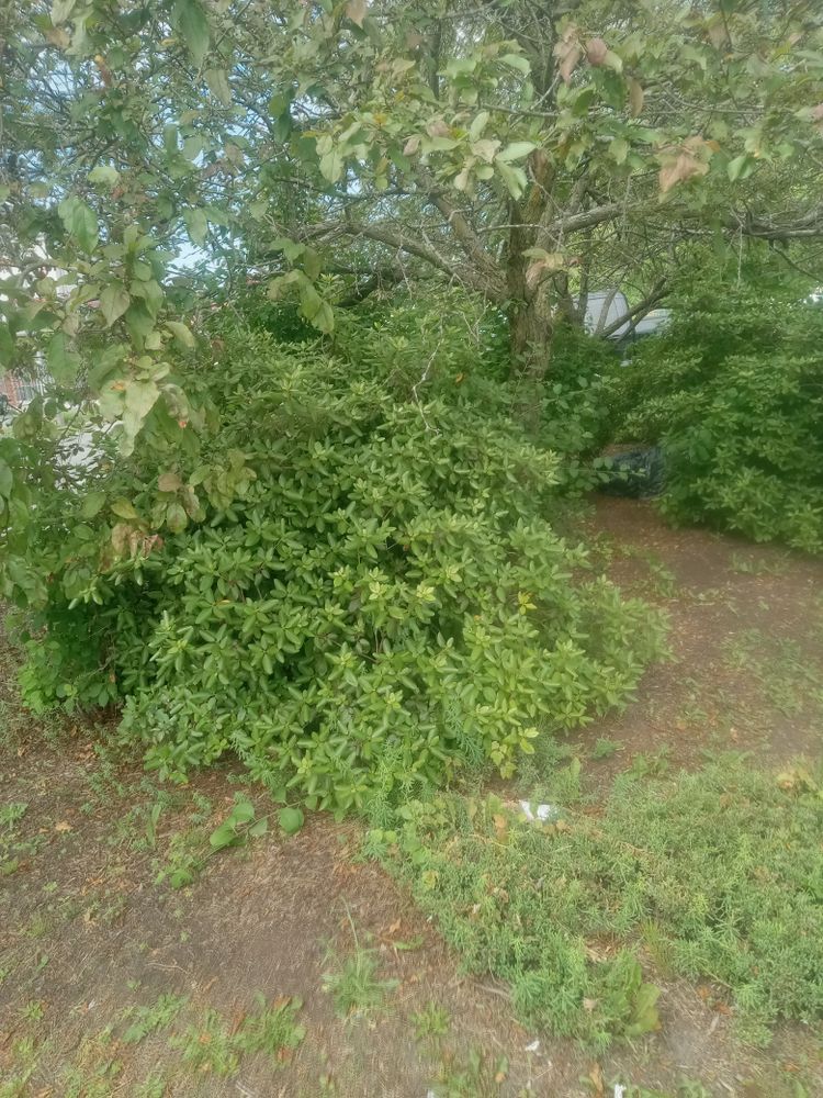All Photos for K Brown's Property Maintenance in Pittsfield, MA