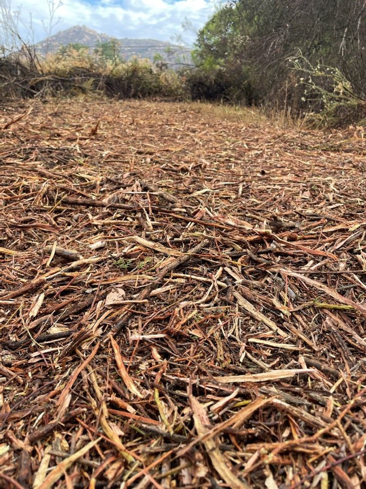 Our mulch installation service helps protect and nourish your trees, plants, and soil by providing a layer of organic material that retains moisture, suppresses weeds, and improves overall landscaping aesthetics. for Spruce Creek Tree Service in Port Orange, FL