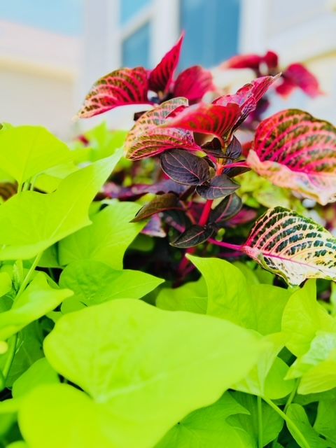 All Photos for Rustic Roots Landscaping in Austin, TX