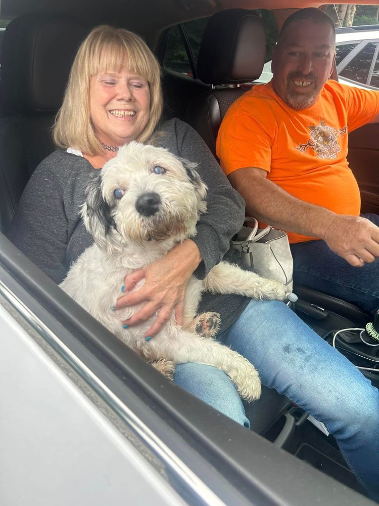 Animal Rescue Service for Sullivan Sanctuary of Maine in Brunswick, ME