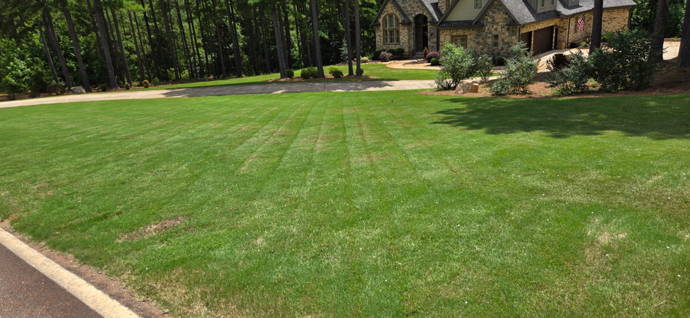 All Photos for Fresh Cut Yard & Lawn Care LLC in Forsyth, GA