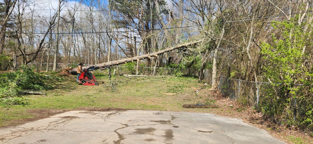 All Photos for Tree Fellers in Sumner County, TN