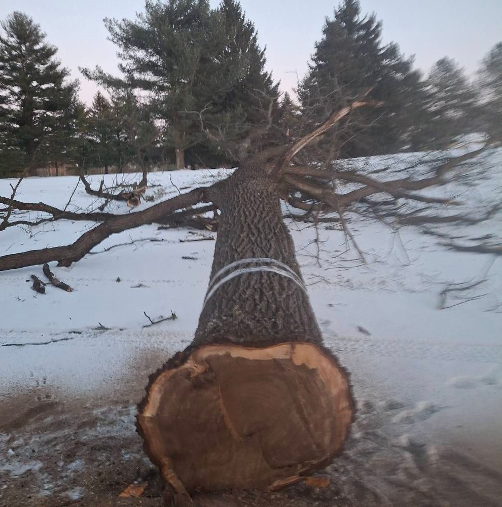 Our Timber Management service offers homeowners sustainable solutions to enhance forest health, boost property value, and ensure balanced ecosystems using expert techniques for planning, harvesting, and reforestation. for God's Country Timber Management in Hillsdale, MI