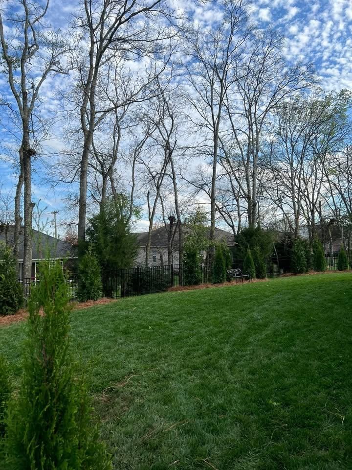 All Photos for Southern Hardscape’s & Landscaping in White House, TN