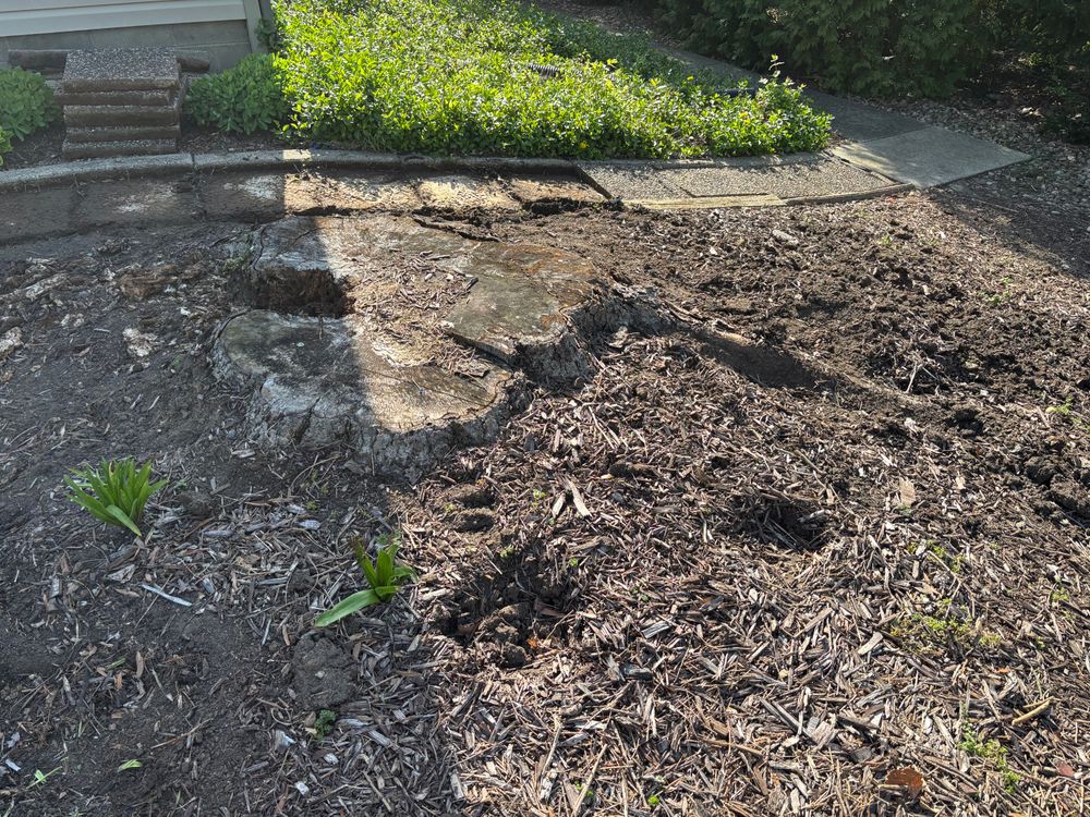 All Photos for Conrad's Stump Removal in Columbus, IN