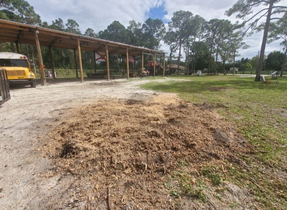 Tree Removal for Regal Tree Service and Stump Grinding in Wauchula, FL