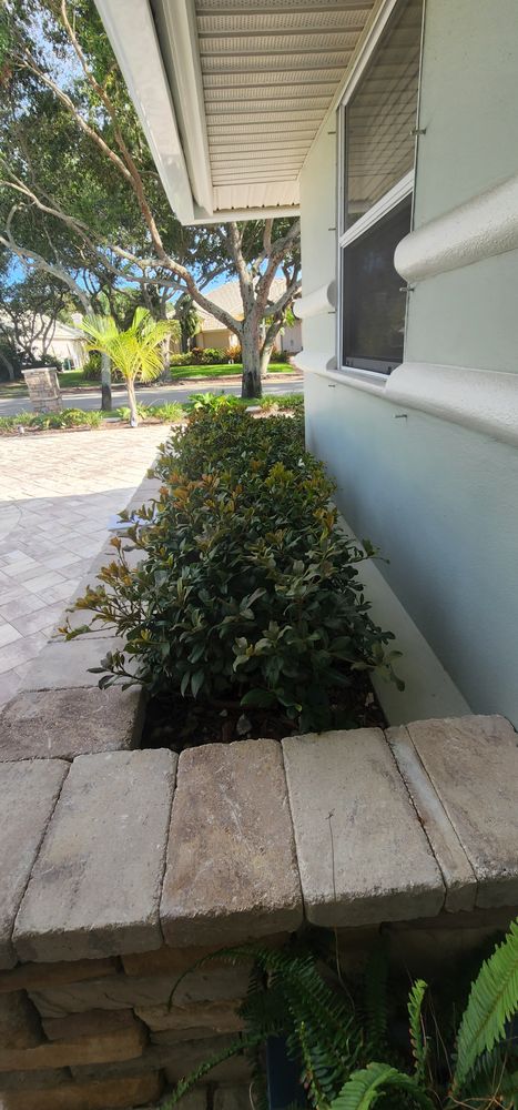 All Photos for Epic Vine Design in Melbourne, FL