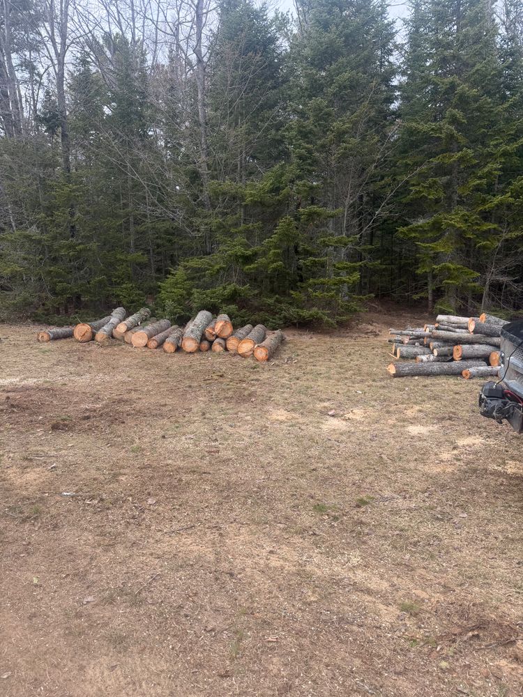 All Photos for J&Q Tree Service in Paradise, MI