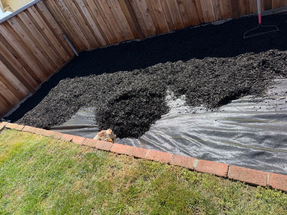 All Photos for CBA Landscaping in Hayward, CA