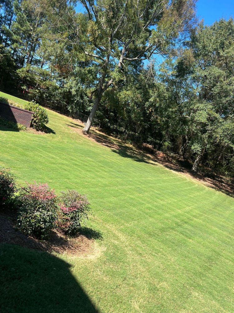 All Photos for Adams Landscape Management Group LLC. in Loganville, GA