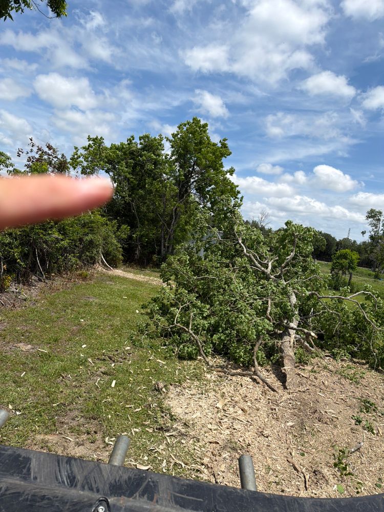 All Photos for CKD's Mulching Services in League City, TX