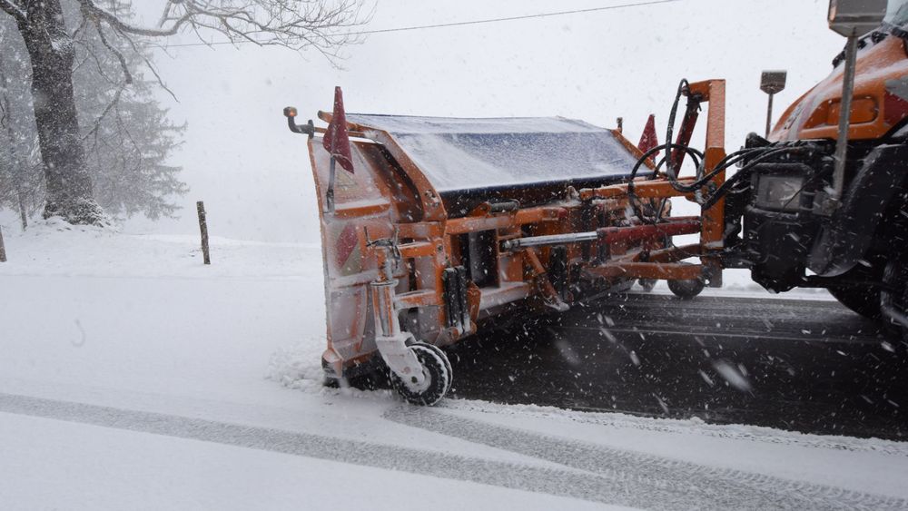 All Photos for Picano Landscaping in Reading, MA