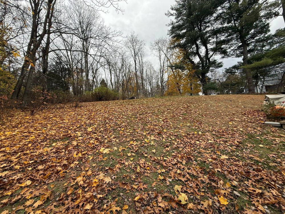 All Photos for Ardisi Property Maintenance LLC in Poughkeepsie, NY 