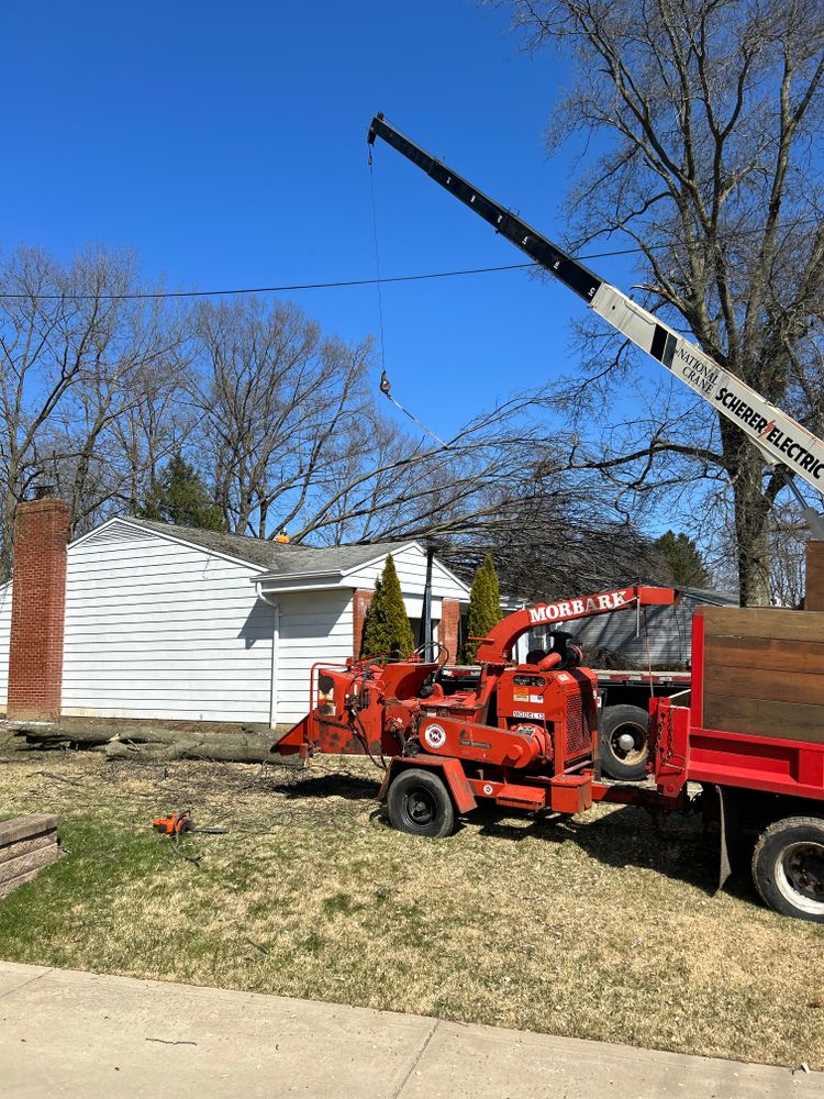 Emergency services  for JJ Tree Service in Gibsonia, PA