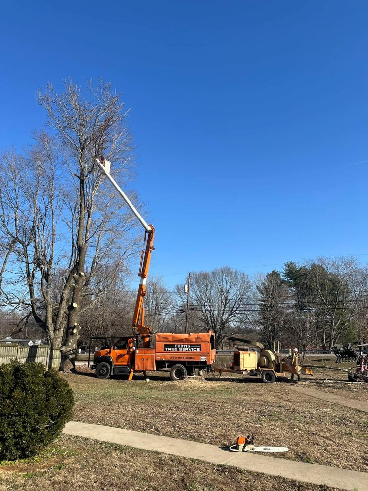 All Photos for Curtis Tree Service LLC in Hopkins County, KY