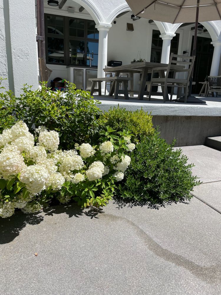 All Photos for Courtney Lewis Landscape Design in Portland, OR