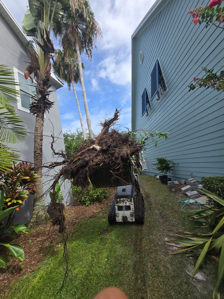 All Photos for TREE BOYS in Ruskin, FL