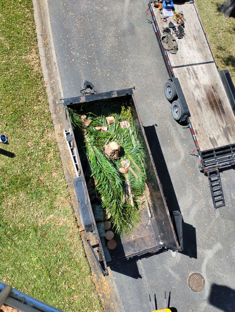 Our Storm Clean Up service efficiently tackles debris removal and tree care, ensuring your property is pristine. Perfect for fall and spring clean up needs, we restore safety and beauty to your outdoor space. for Highlands Tree Service LLC in Avon Park, FL