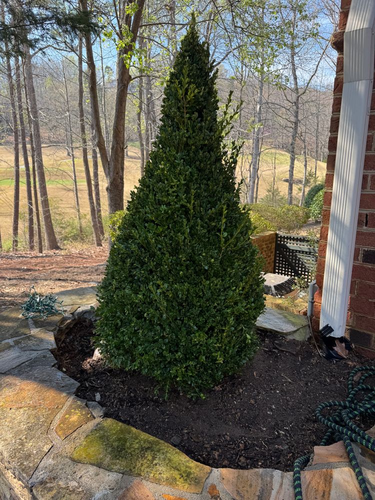 All Photos for Chavez Landscaping in Pittsboro, NC