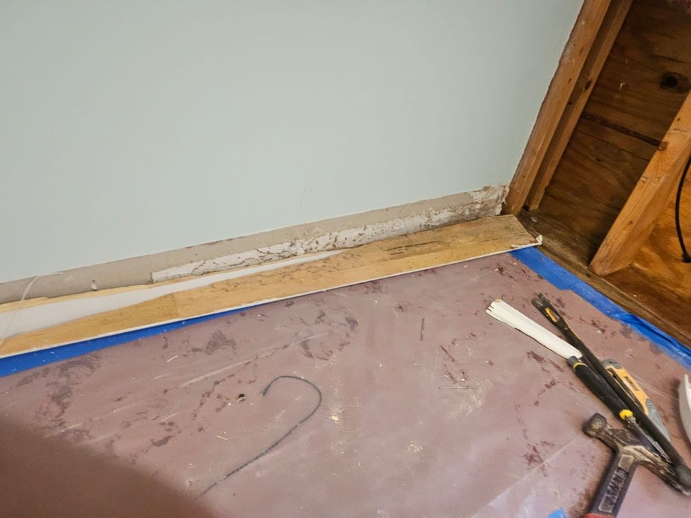 Mold Remediation for N&D Restoration Services When Disaster Attacks, We Come In in Cape Coral,  FL