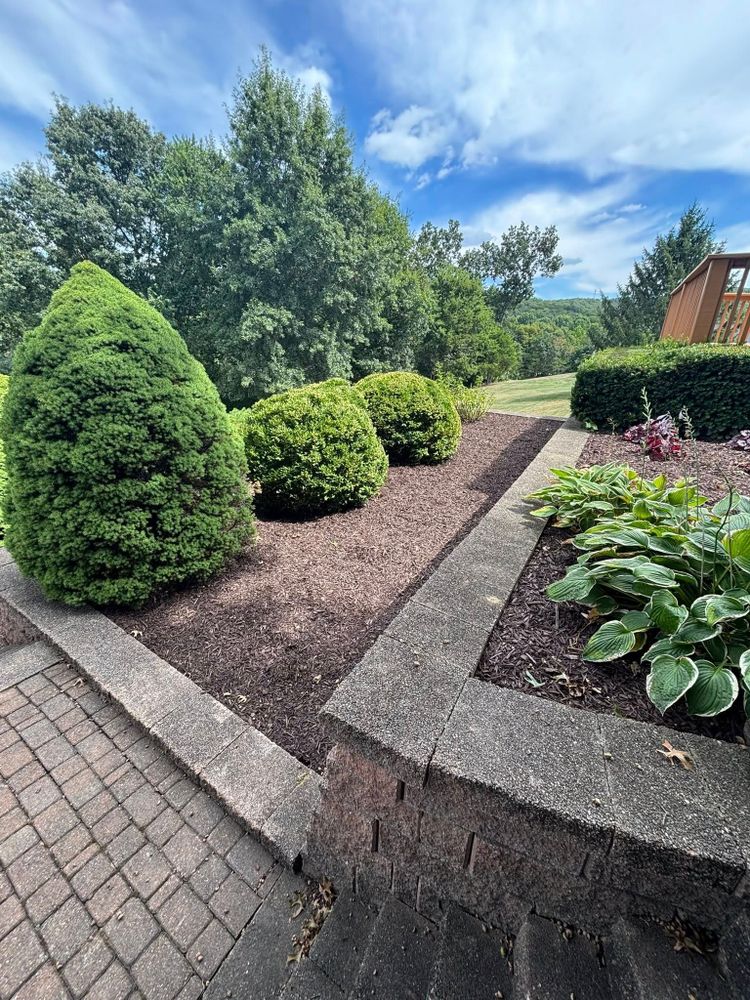 Enhance your home's greenery with our Tree & Shrub Care service, providing expert pruning, disease management, and nourishment to ensure healthy growth and vibrant landscapes year-round for a stunning outdoor space. for CWE Primary in Arnold, MO