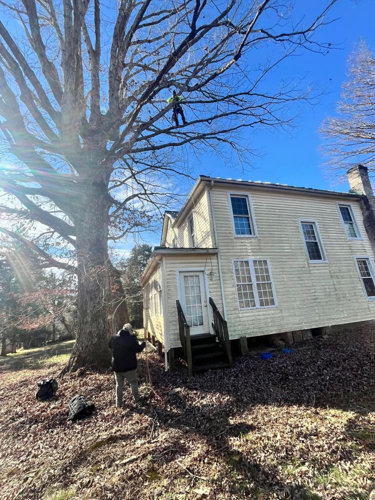 All Photos for Ricky's Tree Service & Property Care in Orange, VA