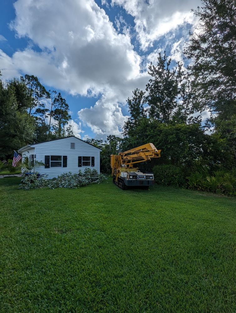 All Photos for Regal Tree Service and Stump Grinding in Wauchula, FL