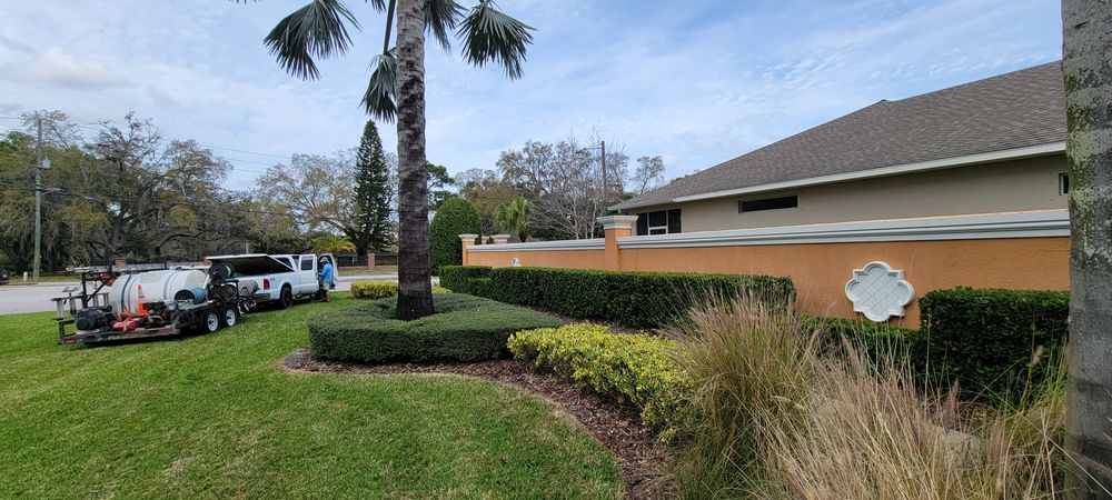 All Photos for Blue Stream Roof Cleaning & Pressure Washing in Tampa, FL