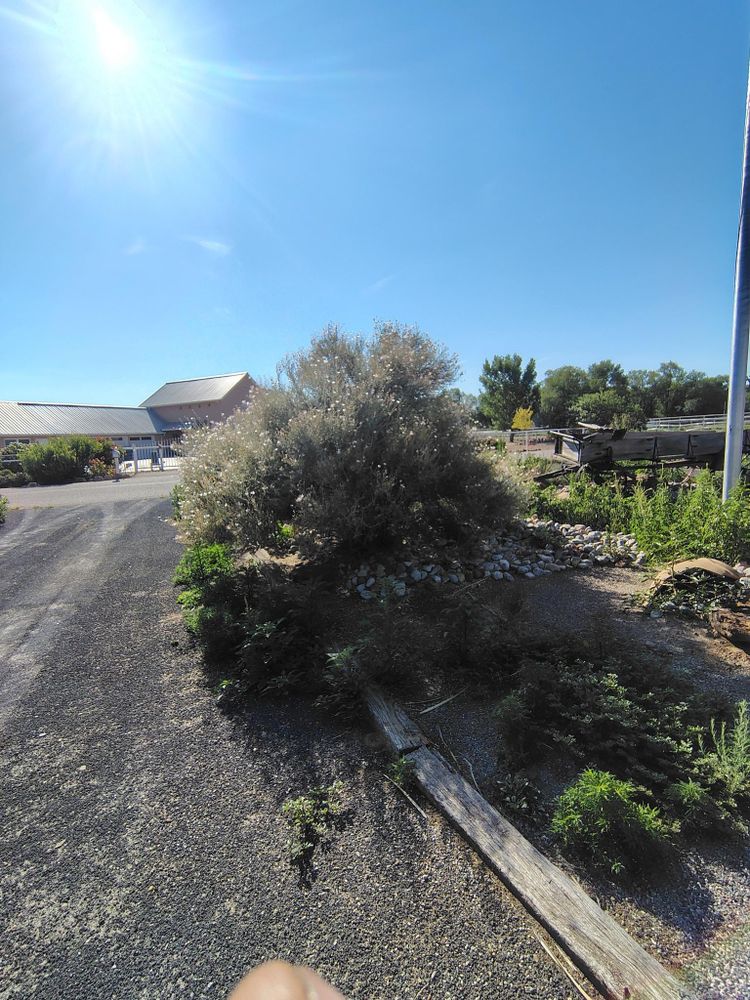 All Photos for 2 Brothers Landscaping in Albuquerque, NM