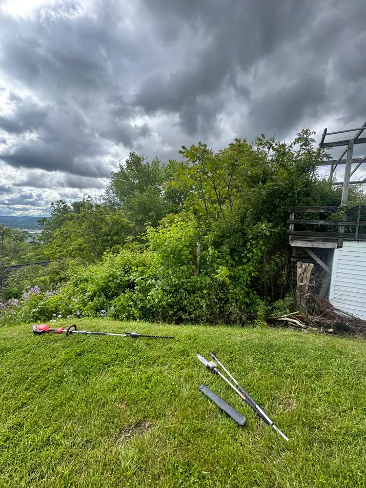 All Photos for Licensed to Cut Tree Service in Athens, PA