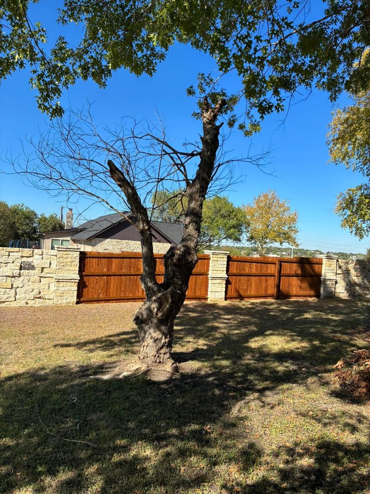 All Photos for C & C Lawn Care and Maintenance in New Braunfels, TX