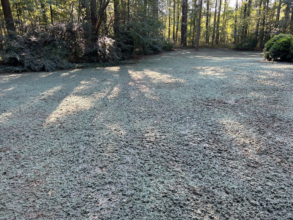 Hydroseeding for Sandy Creek Hydroseeding in Monroe, GA