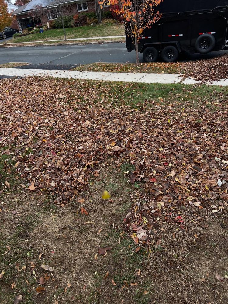 All Photos for Bumblebee Lawn Care LLC in Albany, New York