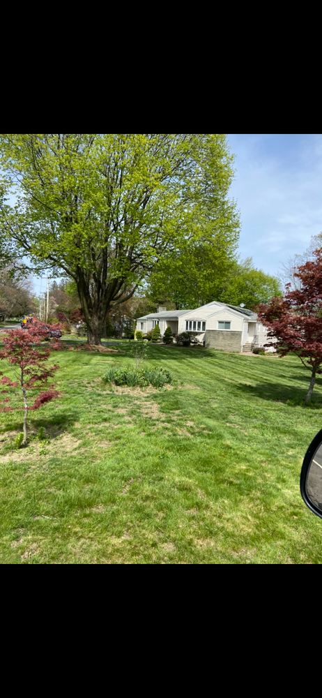 Lawn Maintenance  for Ace Landscaping in Trumbull, CT