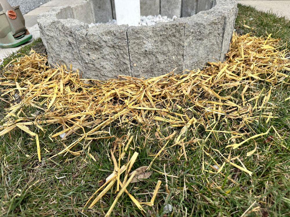 All Photos for Matteo Hardscapes in Towson,  MD