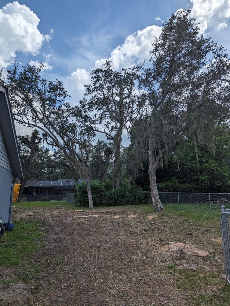 All Photos for Regal Tree Service and Stump Grinding in Wauchula, FL