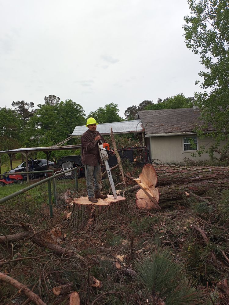 All Photos for Leon Landscaping & Tree Service in Palestine, TX