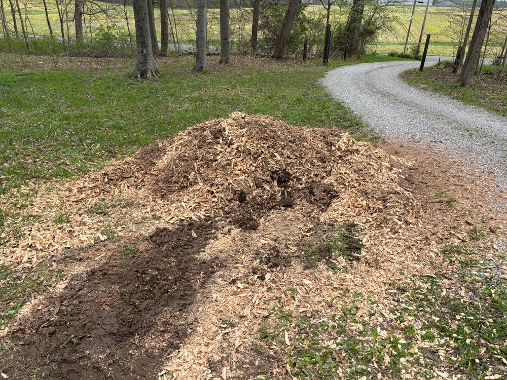 All Photos for Conrad's Stump Removal in Columbus, IN