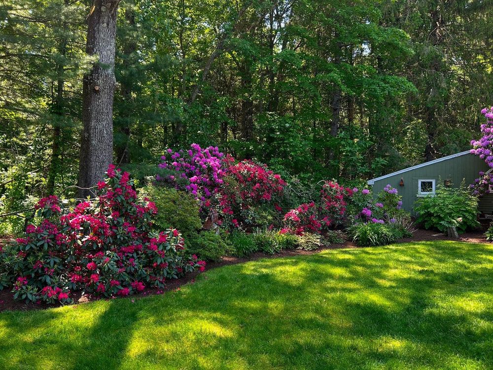 All Photos for Dibs Landscaping LLC in Cheshire, CT