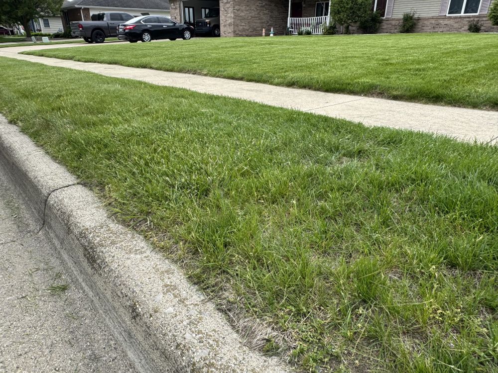 Landscaping Lawn Care for Daugherty's Tough Lawn Care in Essexville, MI