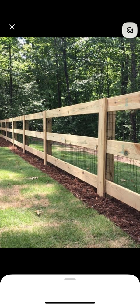 All Photos for Amerigrown Tree And Lawn in Apopka, FL