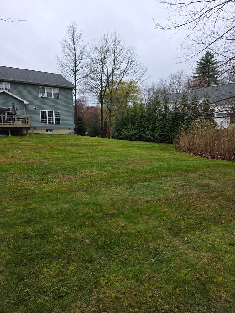 All Photos for Sweet Scapes in Ballston Spa, NY